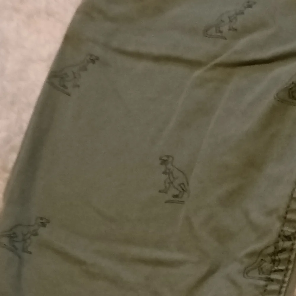 Gap Dinosaur Adjustable Drawstring Pocketed Sweatpant Lined Chinos